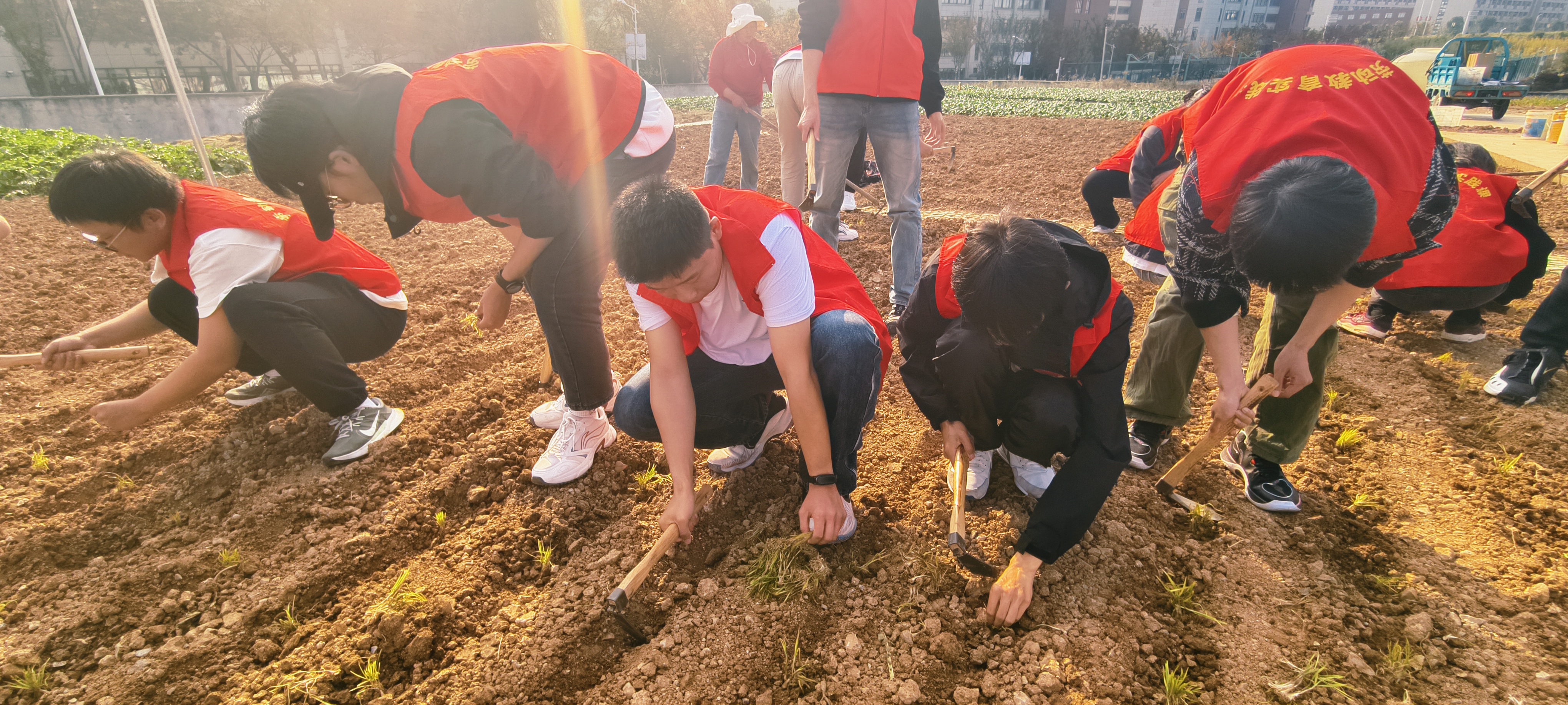 1731374648462603.jpg 1731374648462603.jpg