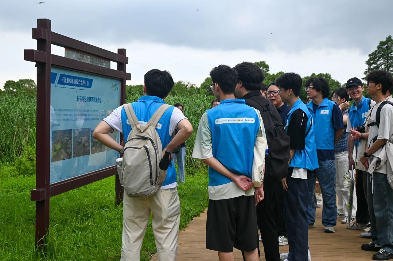 1750747884181689.jpg 4.jpg