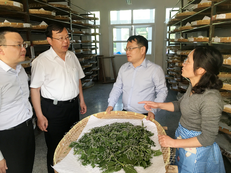 1589351974391132.jpg 1.1.jpg