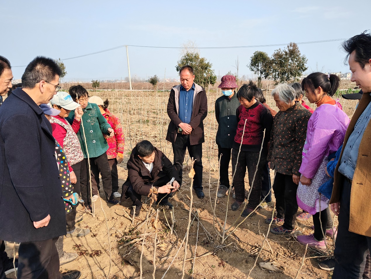 1678153345710683.jpg 图片2.jpg