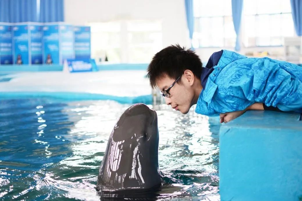 1689666402360241.jpg 2.jpg