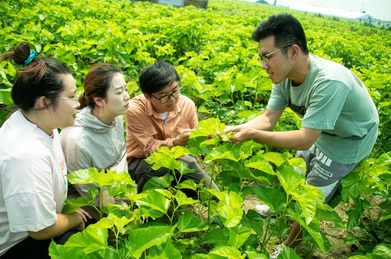 1689666457328505.jpg 7.jpg