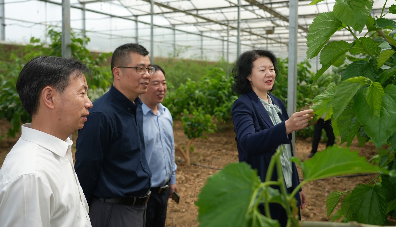 1744336137205536.jpg 1744336137205536.jpg