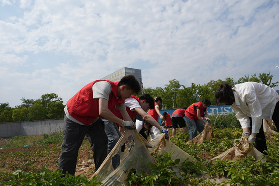 1748395037753684.png image.png