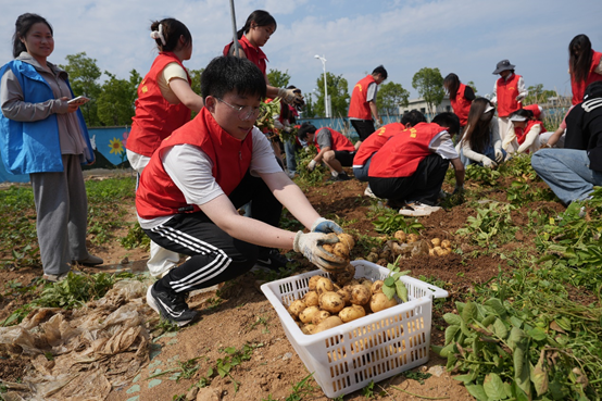 1748395045543930.png image.png