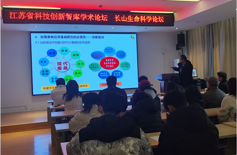 1733202019305785.png 1733202019305785.png