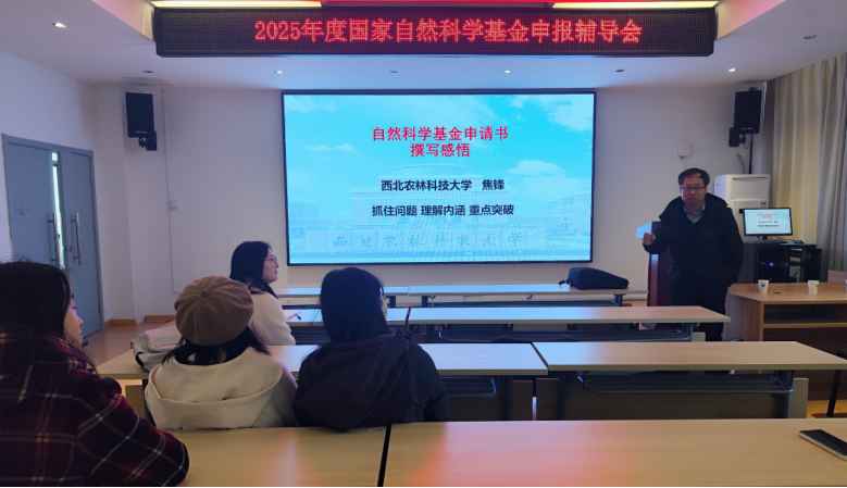 1733202043224316.png 1733202043224316.png