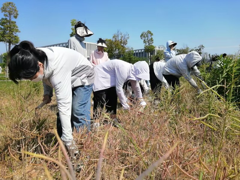 1684113278682484.jpg c51e5096-a765-443b-b9ae-5512dccf6cca.jpg