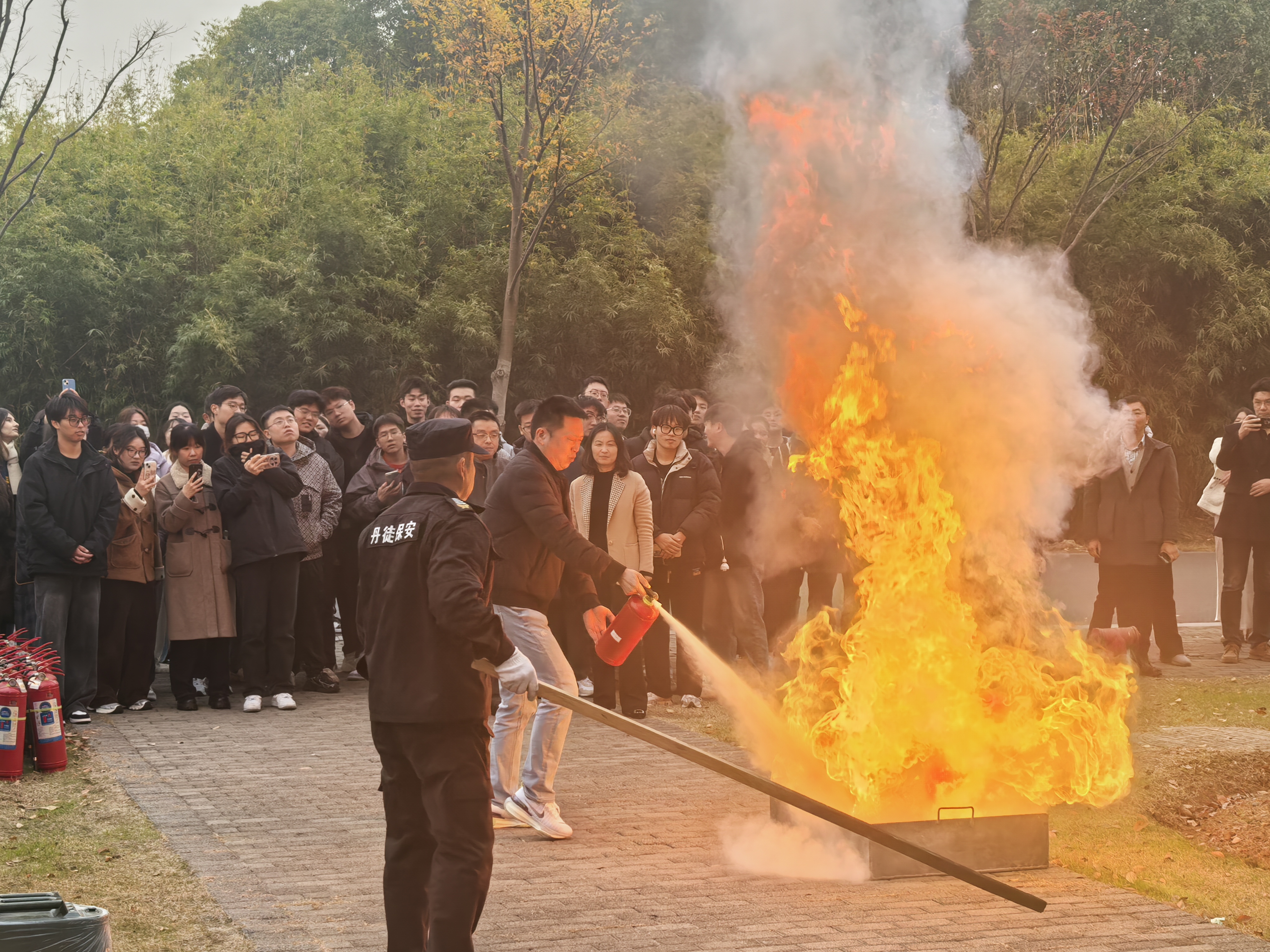 1733561369412530.jpg 1733561369412530.jpg