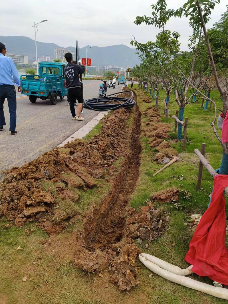 1684200984576875.jpg ffe34771-ccf7-46bc-8284-dcdfa52b3593.jpg